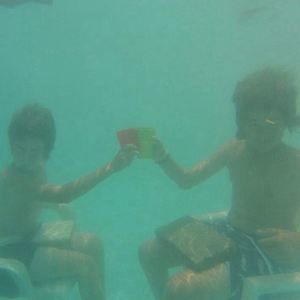 Meet your Posher, Plin